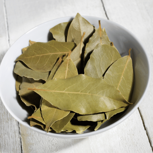 bay leaf