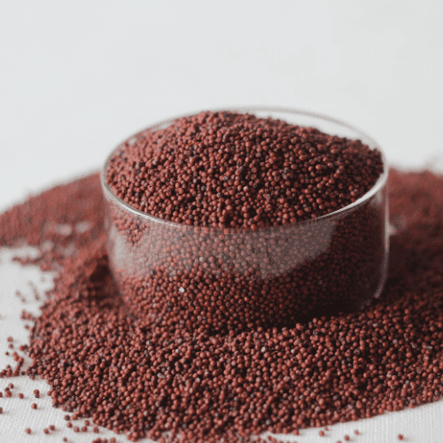 Finger Millet (Ragi)